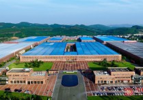 不靠海的柳州为何能成为企业布局东盟的“优选解”？