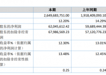 海泰新能2020年净利增长395%越南子公司生产基地发挥产能